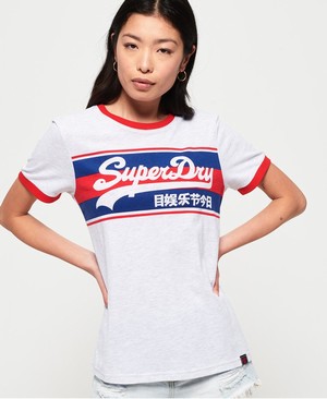 Superdry Vintage Logo Ringer Infill Női Pólók Szürke | AVPRT8167